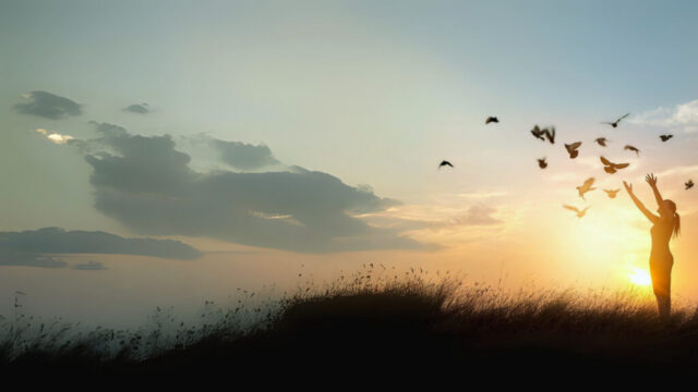 Günbatımı,Doğa,Kadın,Uçan Kuşlar